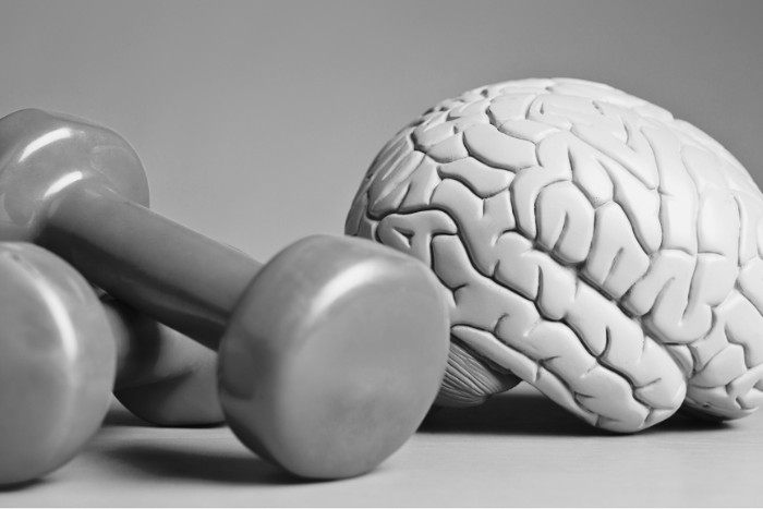 Exercise and the brain
